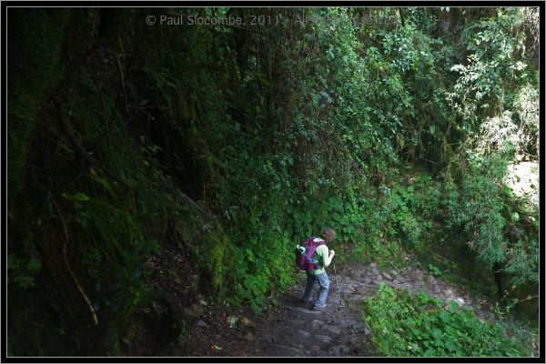 110407MachhuPicc01256