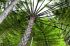 110407MachhuPicc01372