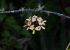 110407MachhuPicc01331