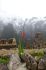 110408MachhuPicc01535