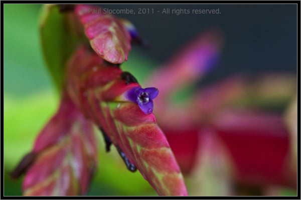 110408MachhuPicc01467