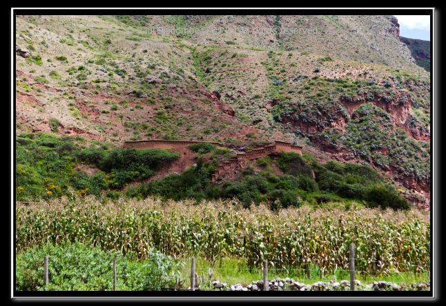 110403cuzco00637