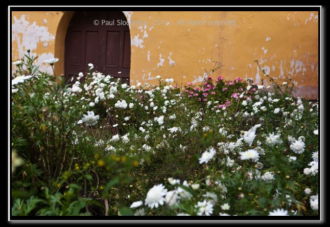 110403cuzco00654