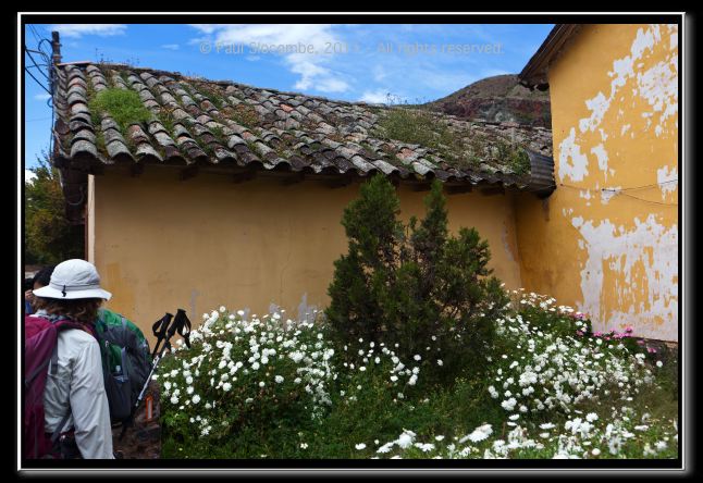 110403cuzco00655