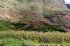 110403cuzco00637