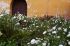 110403cuzco00654