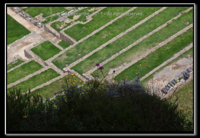 110403cuzco00691