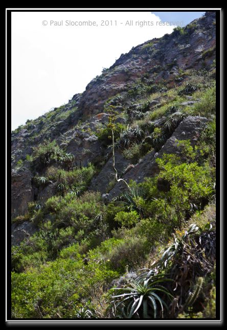 110403cuzco00700