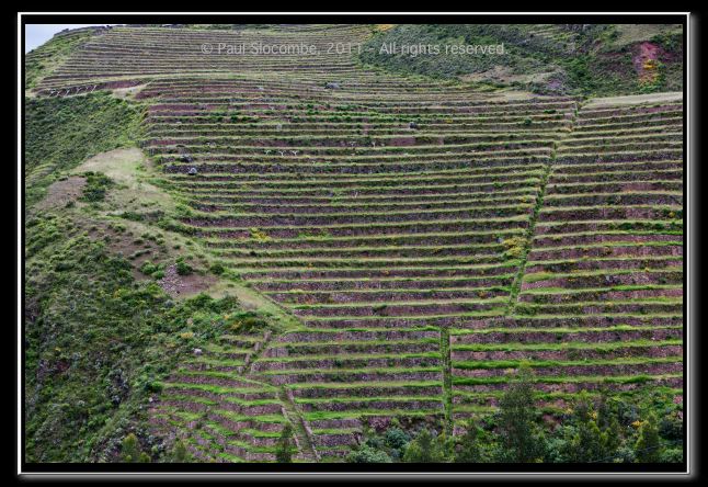 110403cuzco00718