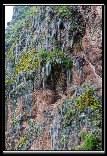 110403cuzco00749