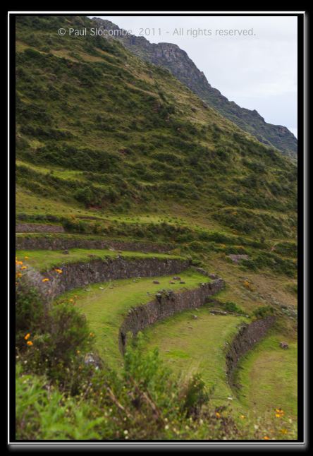 110403cuzco00733