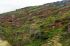 110403cuzco00726