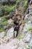 110403cuzco00738