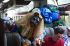 110408MachhuPicc01637