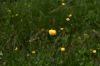 130724Buet03535