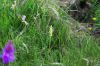 130724Buet03537