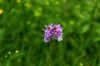 130724Buet03541