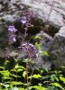 130724Buet03546