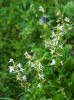 130724Buet03548