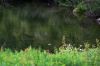 130725Chamonix03567