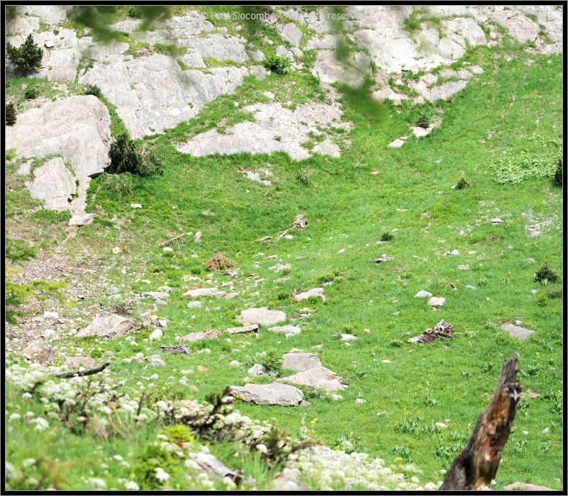 130722Champex03034