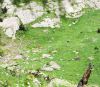 130722Champex03034