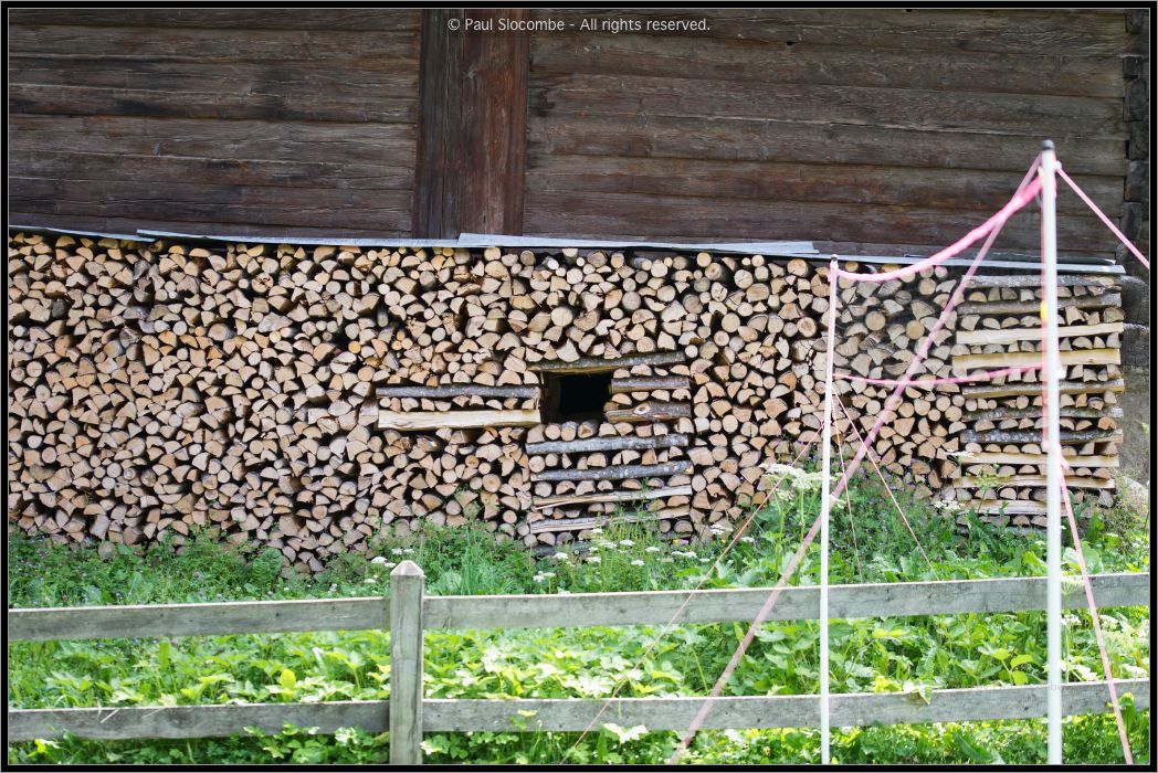 130722Champex03086