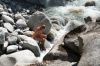 130722Champex03147