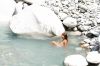 130722Champex03168