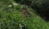 130717LaContam02494