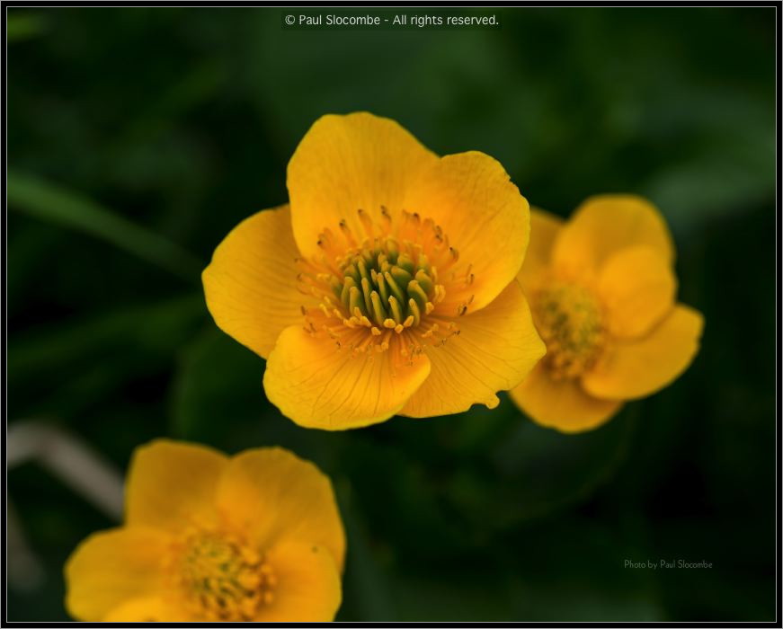 130719Courmayeur02661