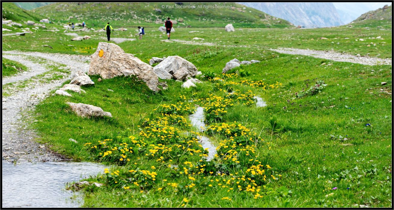 130719Courmayeur02664