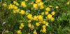 130719Courmayeur02658