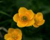 130719Courmayeur02661