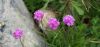 130719Courmayeur02666