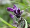 130719Courmayeur02668