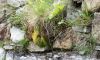 130719Courmayeur02684