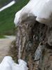 130719Courmayeur02686