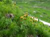 130719Courmayeur02689