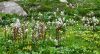 130719Courmayeur02703