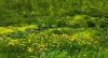 130719Courmayeur02676