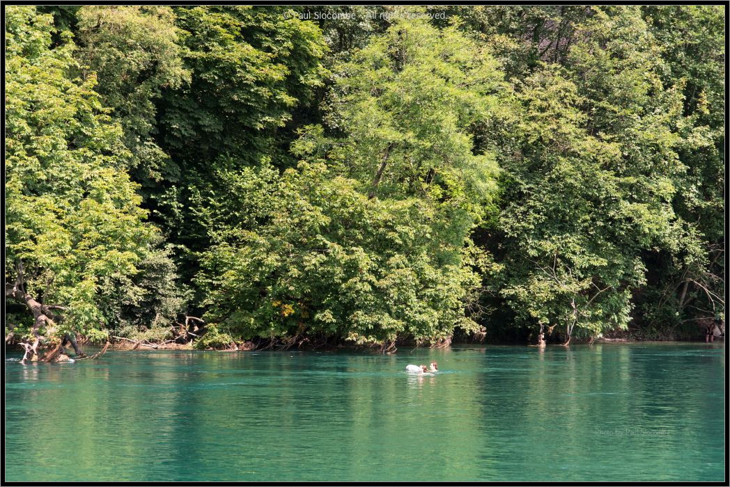 130714Geneva02456