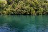 130714Geneva02458