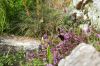130722Jardin03193
