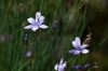 130722Jardin03235