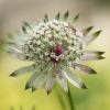 130722Jardin03238