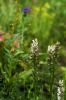 130722Jardin03249