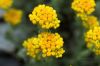 130722Jardin03258