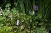 130722Jardin03261