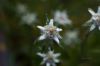 130722Jardin03266